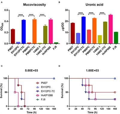 Genetic and Functional Characterization of a Conjugative KpVP-2-Type Virulence Plasmid From a Clinical Klebsiella pneumoniae Strain